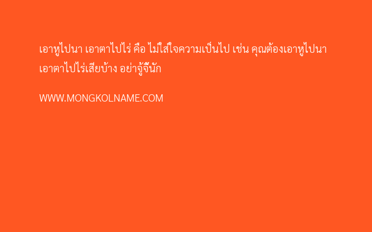 เอาหูไปนา เอาตาไปไร่ คือ แปลว่า มีความหมายว่าอย่างไร เอาหูไปนา เอาตาไปไร่ คือ แปลว่า มีความหมายว่าอย่างไร